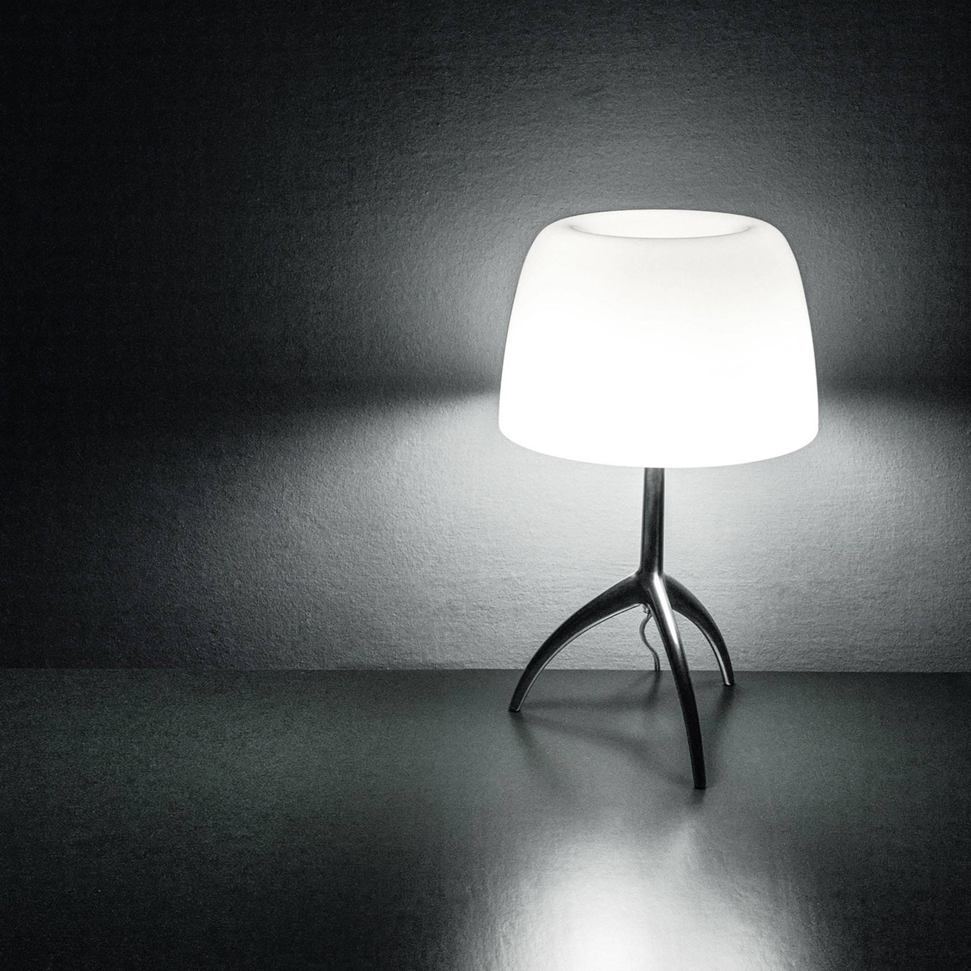 Immagine prodotto 3