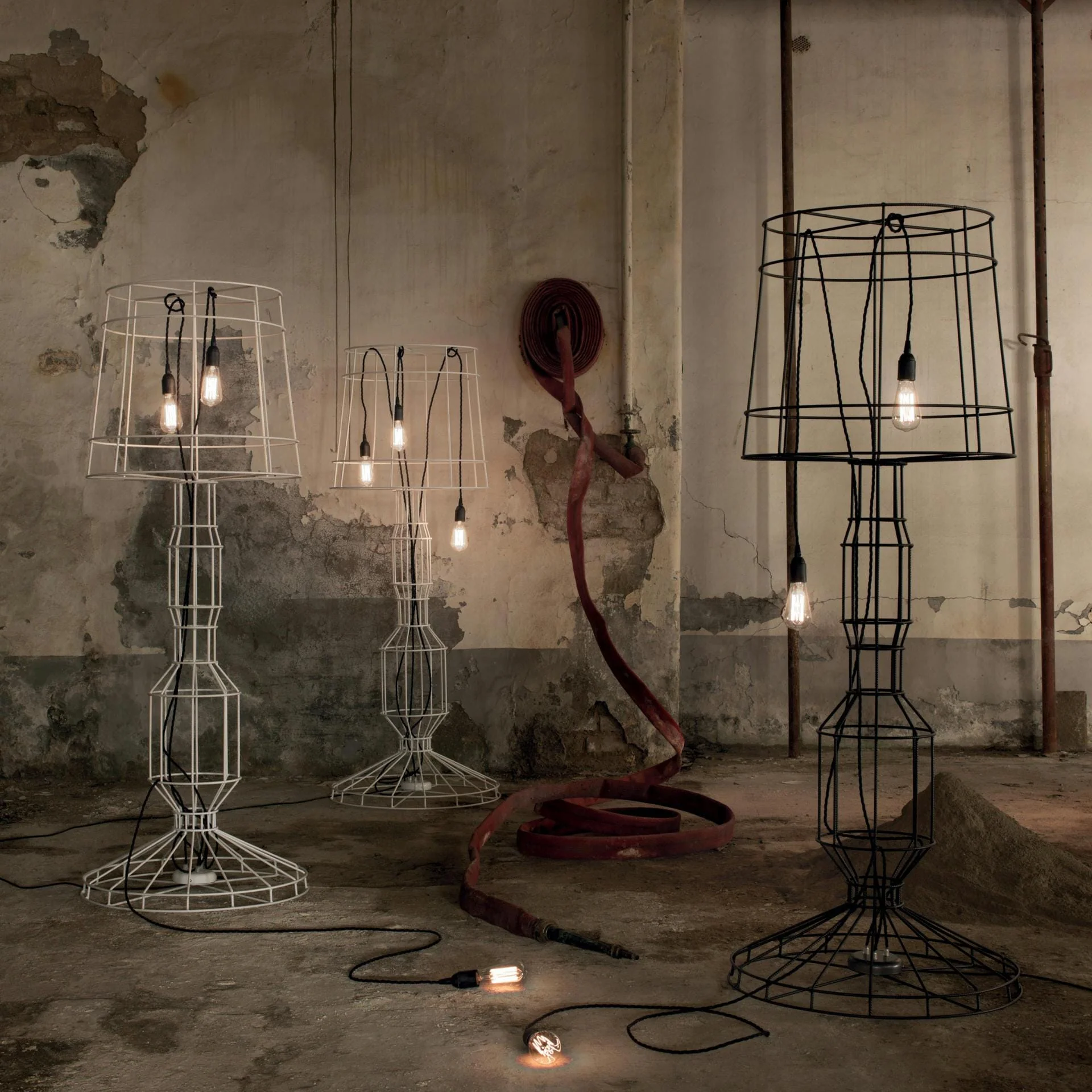 Immagine prodotto 3
