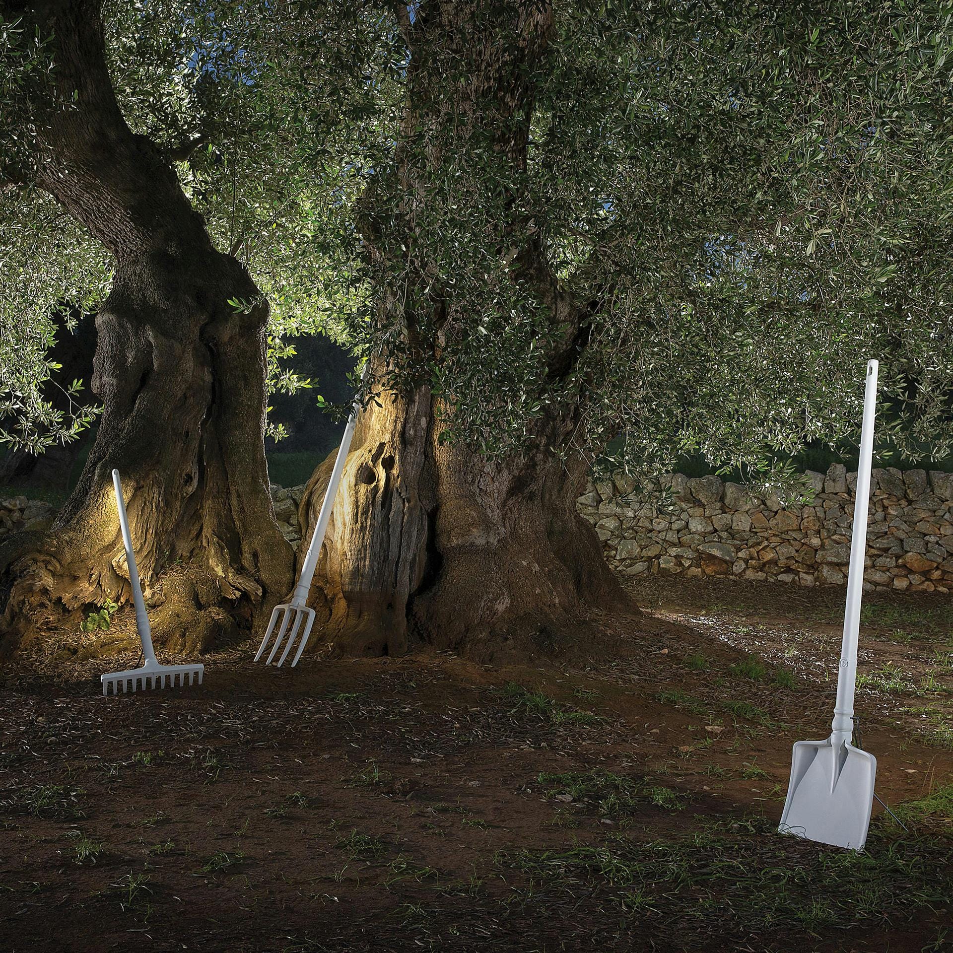 Immagine prodotto 4