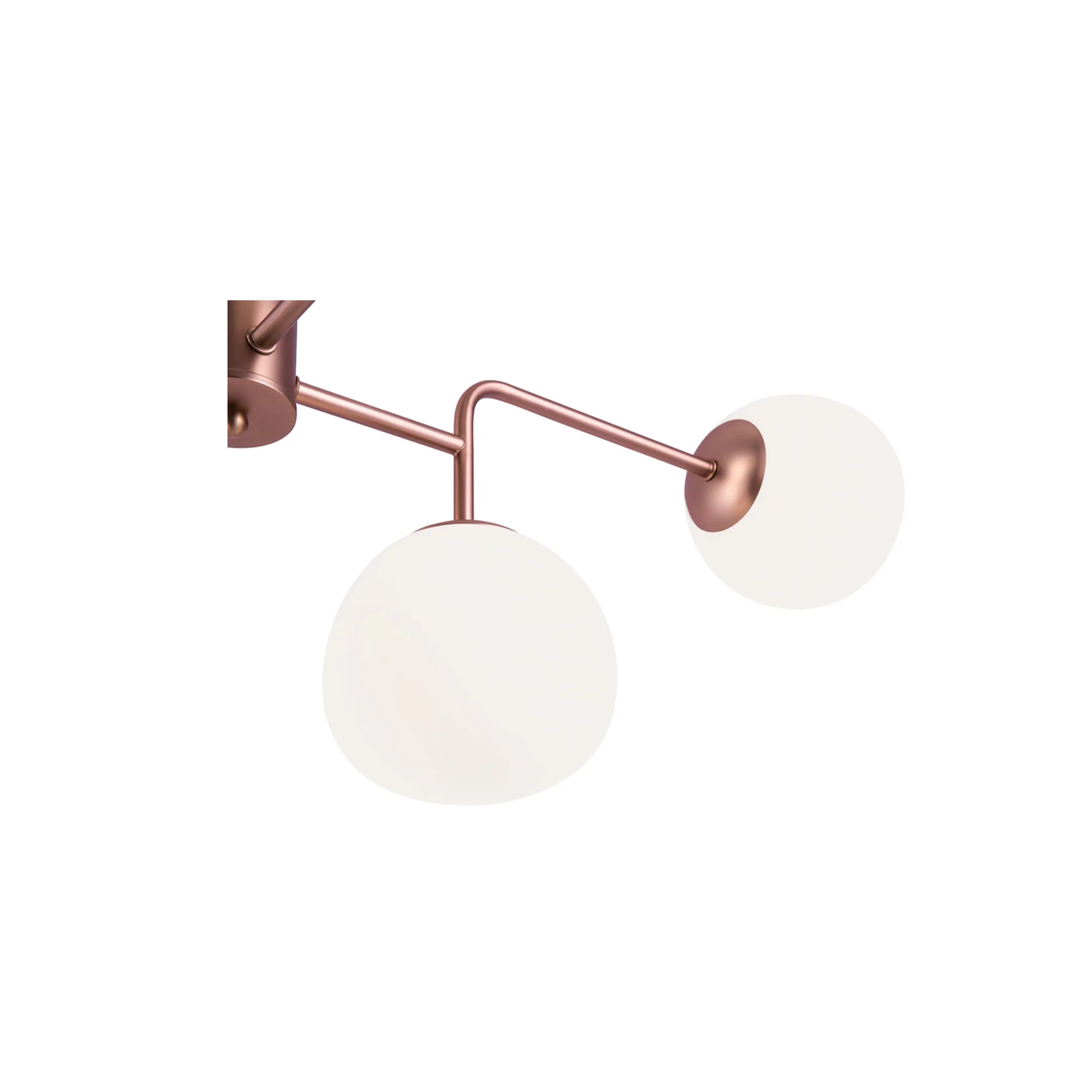 Immagine prodotto 3