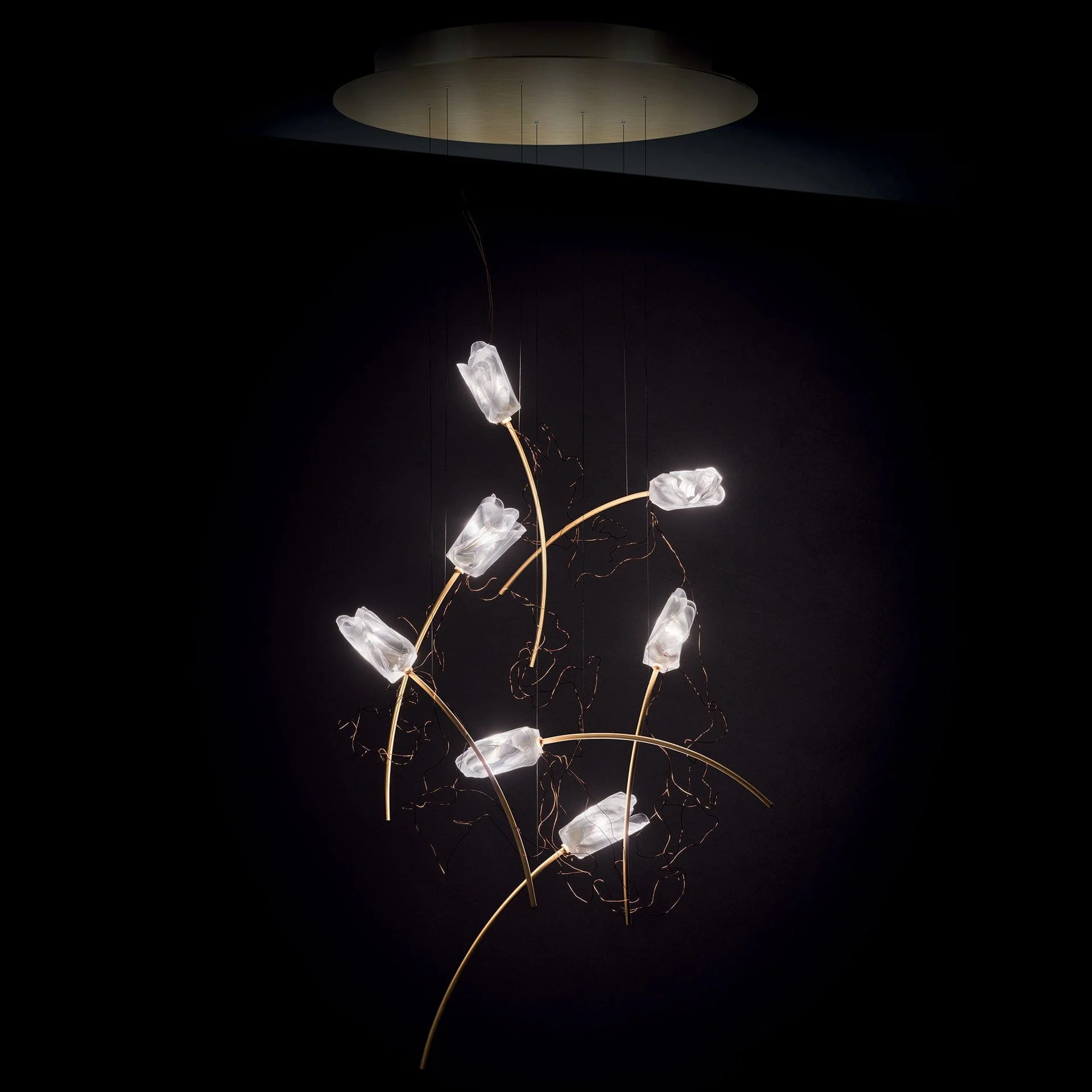 Immagine prodotto 2