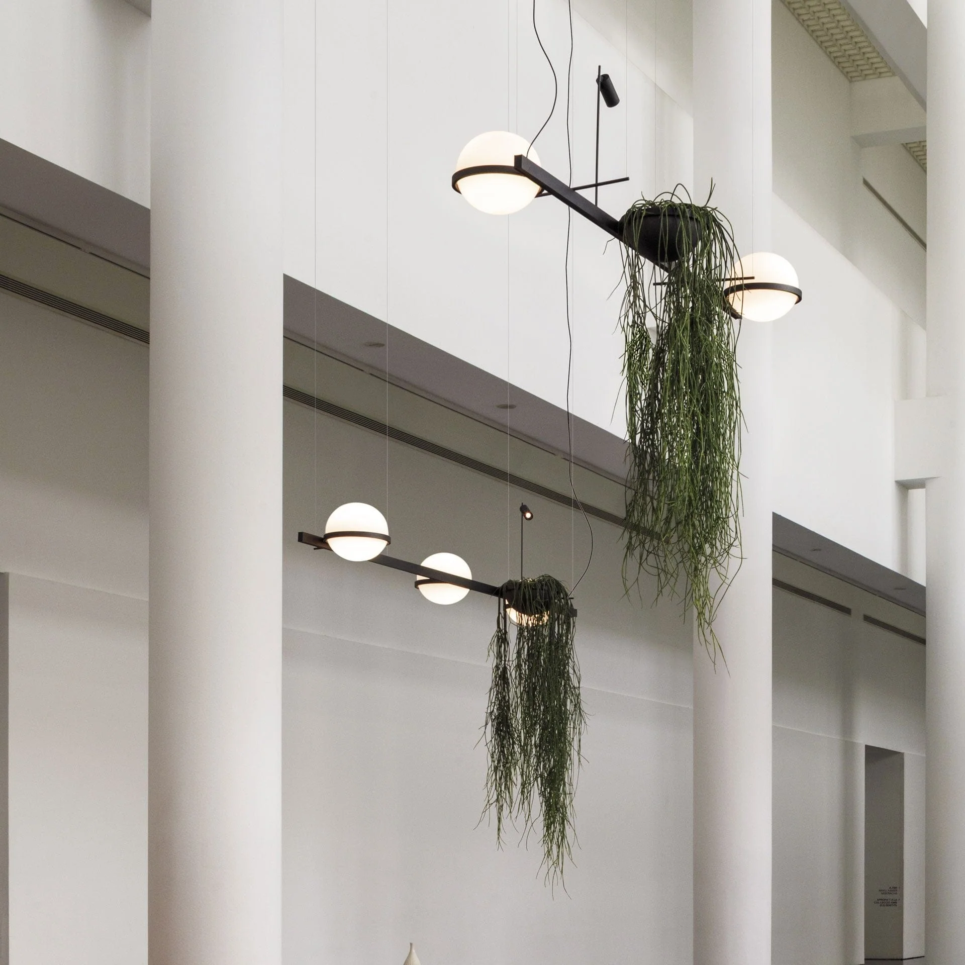 Immagine prodotto 5
