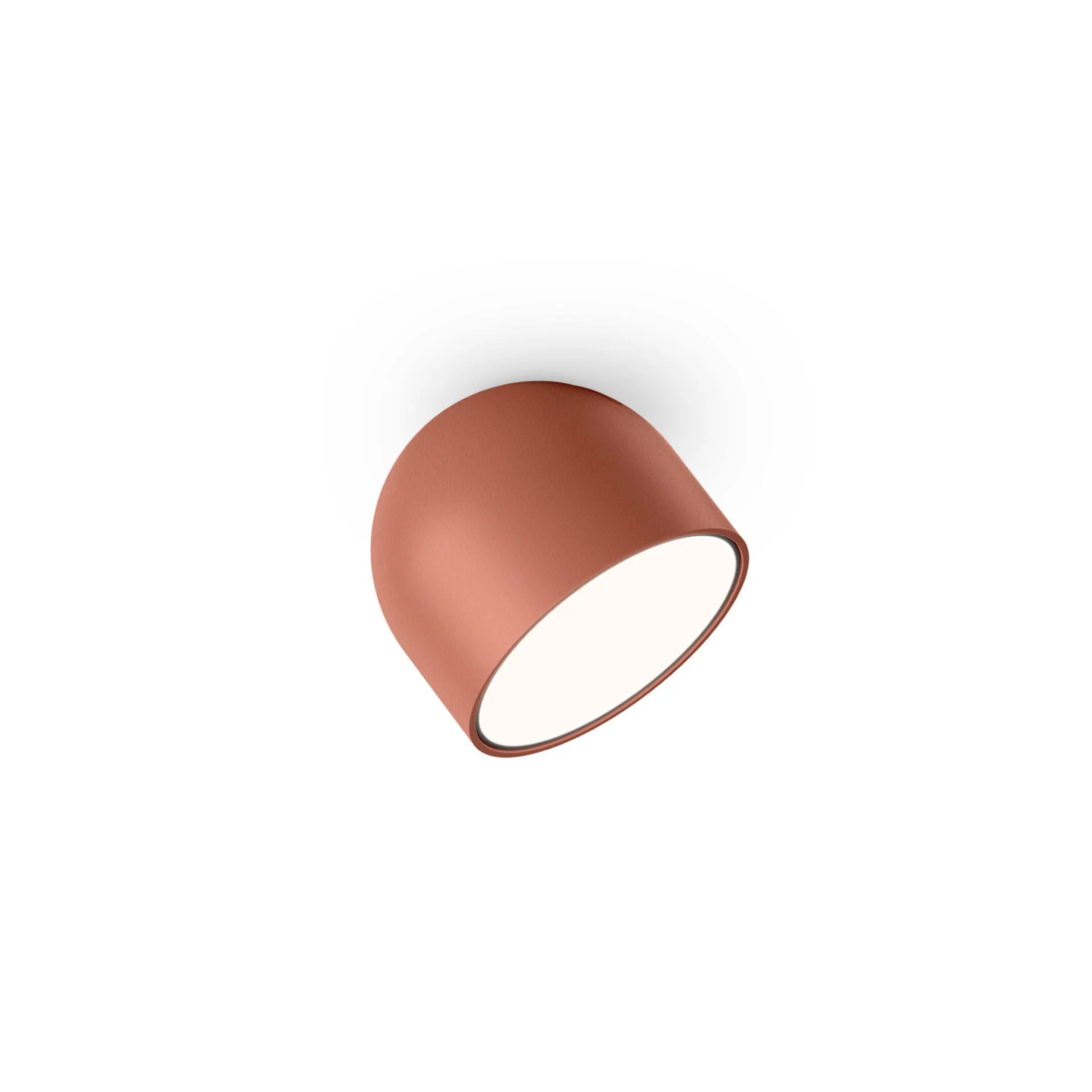 Immagine prodotto 4