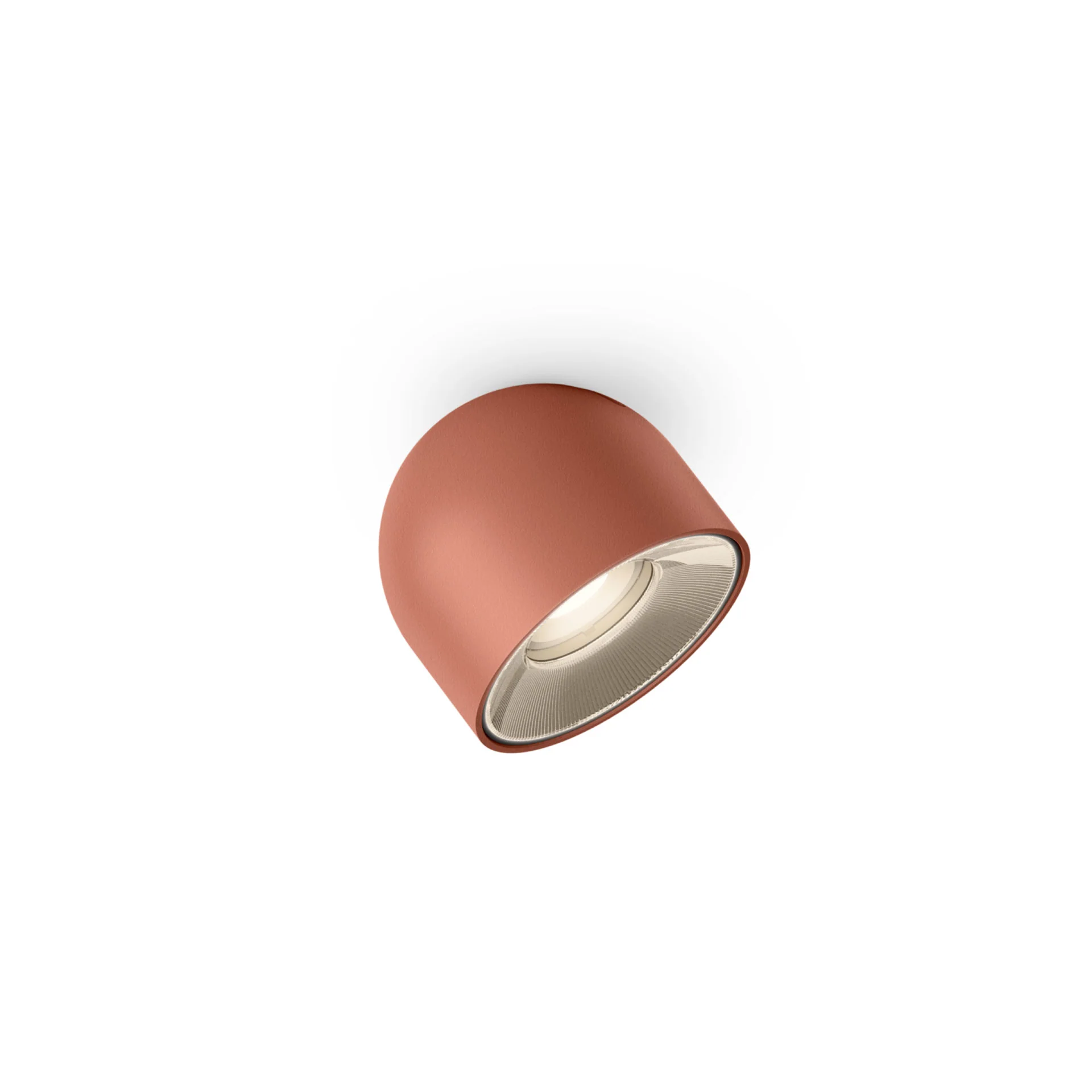 Immagine prodotto 4
